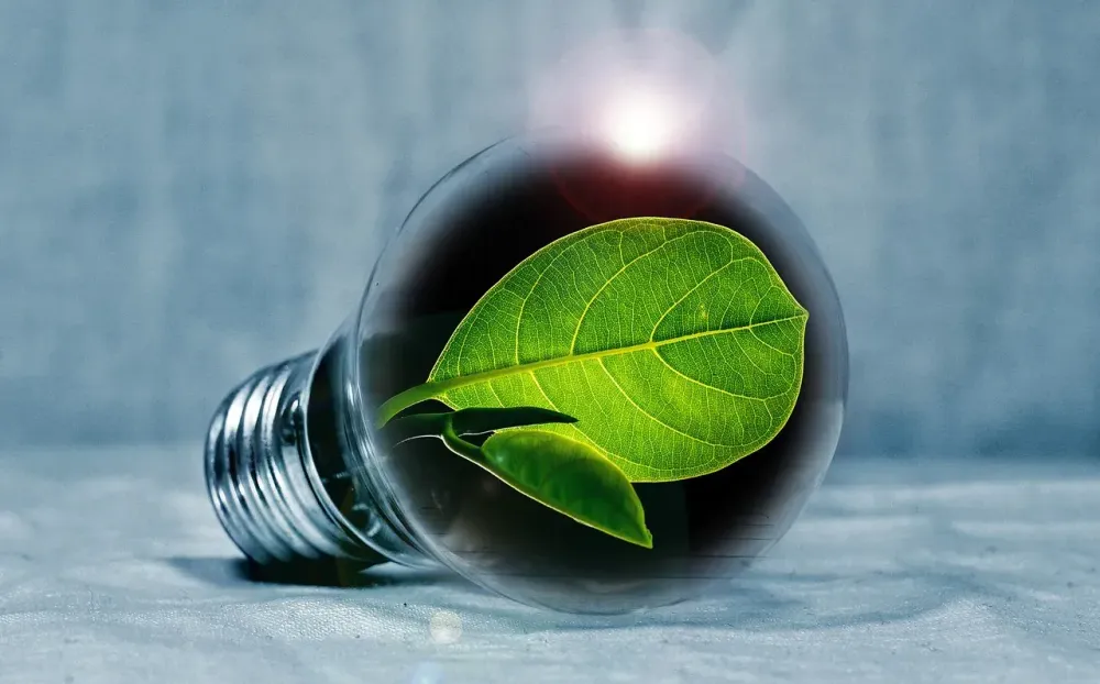 Pertamina NRE-MDI Ventures Energy Fund Likely to Hit First Close at $100m in Q1 2024