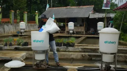 Indonesia’s seafood farming industry faces a ‘technology gap’ — and startups are raising big bucks to fill it